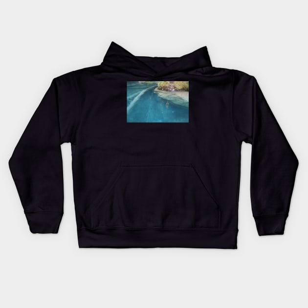 Switzerland -The Blausee Kids Hoodie by AnimaliaArt